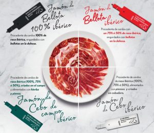 Etiquetas de clasificación para jamón ibérico en colores negro, rojo, verde y blanco